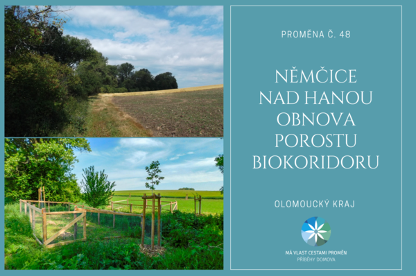 Němčice nad Hanou – Obnova porostu biokoridoru.png